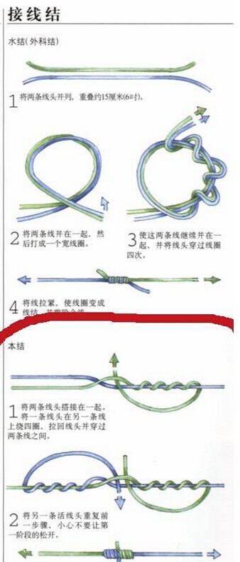 2024年12月16日 第15页